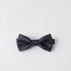 Elegant Bowtie Set