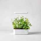 Indoor Herb Garden Kit