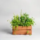Herb Garden Kit