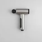 Gilmore Deluxe Massage Gun — 4kg