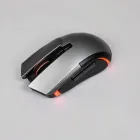 Gaming Mouse with Adjustable Weight