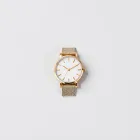 Gold Mesh Strap Watch