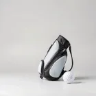Golf Ball Bag