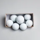 Golf Ball Set (12 Pack)