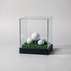 Golf Ball Display Case