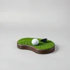 Professional Golf Lessons