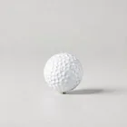 Custom Golf Ball Markers
