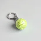 Golf Ball Retrieval Tool
