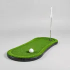 Golf Practice Putting Green