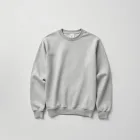 Graphic Pullover Sweatshirt