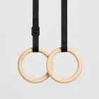 Gymnastic Rings