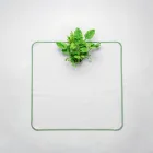 Aquarium Greenhouse Mat