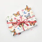 Butterfly Garden Gift Wrap
