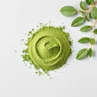Green Superfood Protein Powder