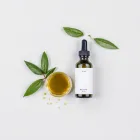 Green Tea Extract