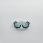 Goggle Visionary