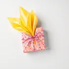 Surprise Party Wrap