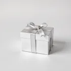 Luxury Silver Gift Boxes