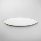 Giant Wave Surfboard