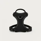 Dog Training Harness