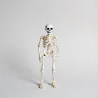 Halloween Skeleton Figure