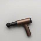 Hearthstone Signature Massage Gun — 4kg