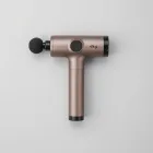 Hearthstone Select Massage Gun — 4kg