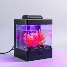 Aquarium Heater