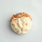 Hermit Crab Sand Substrate