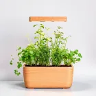 Indoor Herb Garden Kit