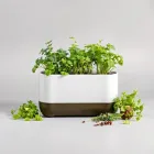 Indoor Herb Garden Kit