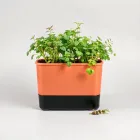 Indoor Herb Garden Kit