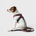 Dog Harness and Leash Set
