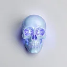 LED Skull Light