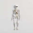 Skeleton Wall Art