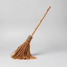 Witch's Broomstick