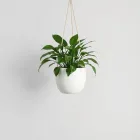 Hanging Planters