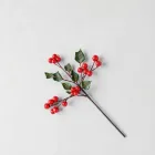 Holly Berry Pick Set