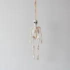Hanging Skeleton Decoration