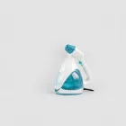 Handheld Steam Cleaner