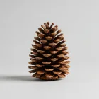 Rustic Pinecone Centerpiece