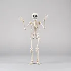 Animated Dancing Skeleton