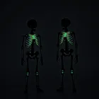 Glow-in-the-Dark Skeletons