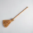 Thrilling Witch's Broomstick