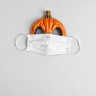 Vile Pumpkin Face Masks
