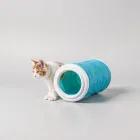 Interactive Cat Tunnel Toy