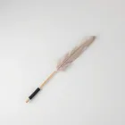 Interactive Cat Toy - Feather Wand