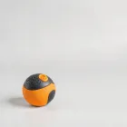 Interactive Dog Toy