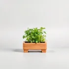 Indoor Herb Garden Kit