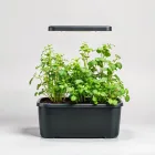 Indoor Herb Garden Kit